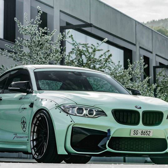 BMW-M2-Z-Performance